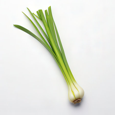 Fresh spring onion isolated on white background. Clipping path included.の素材