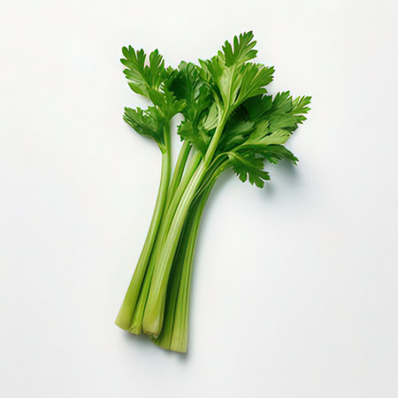 Fresh celery isolated on white background. Flat lay, top viewの素材