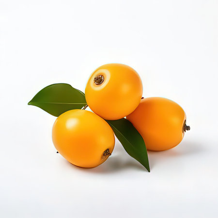 Loquat fruit on white background. Clipping path included.の素材