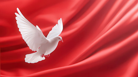 White dove on a red background. The concept of freedom.の素材