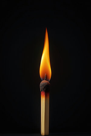 Burning matchstick isolated on black background. 3d illustration.の素材
