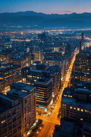 Aerial view of a city at twilight.の素材