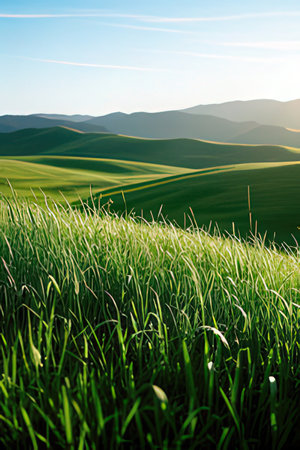 Landscape with green grass and blue sky.の素材