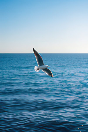 Seagull flying in the blue sky above the sea, backgroundの素材