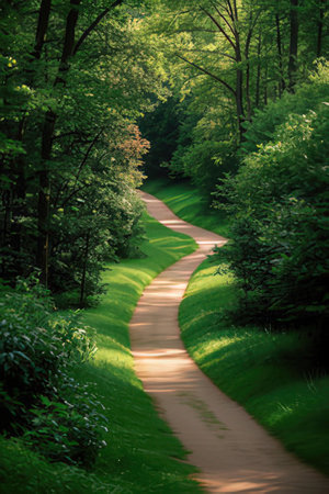 Pathway in the park with green grass and trees. Beautiful summer landscape.の素材