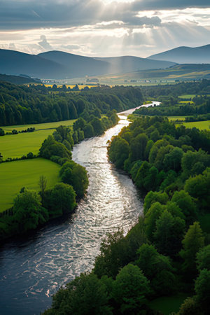 Aerial view of the river and forest at sunset. Beautiful summer landscape.の素材
