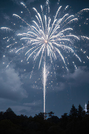 Colorful fireworks on the black sky background for celebration new yearの素材