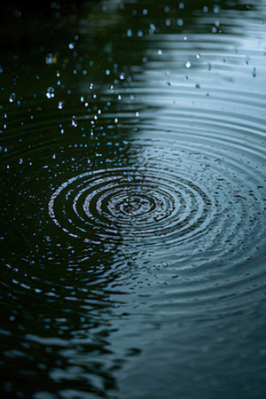 Water drop on the surface of the water with ripples and wavesの素材