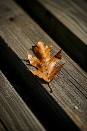 Dry oak leaf on wooden stairs. Autumn background. Selective focus.の素材
