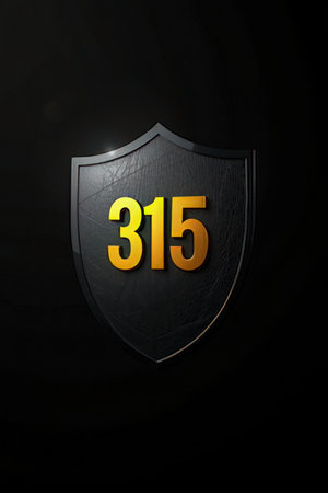 Shield with number 315 on a black background. 3d illustration.の素材