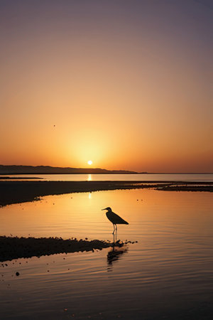 Silhouette of a heron standing in the water at sunsetの素材