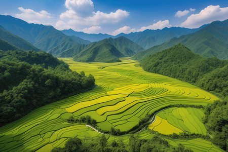 Rice fields in springtime, China. Nature landscape background.の素材