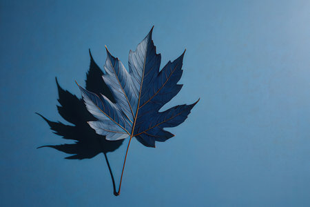 Blue leaf on blue background. Flat lay, top view, copy space