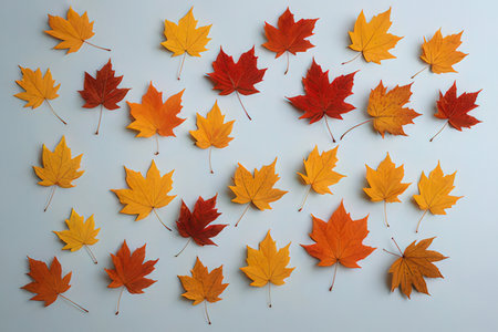 Autumn maple leaves on white background. Flat lay, top view