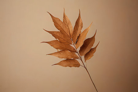 Autumn leaves on a brown background. Autumn background. Autumn background.