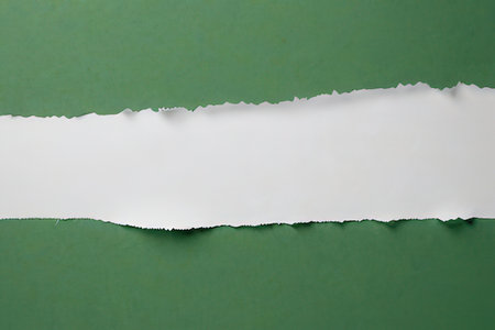 Torn paper with space for your message on green paper background.の写真素材
