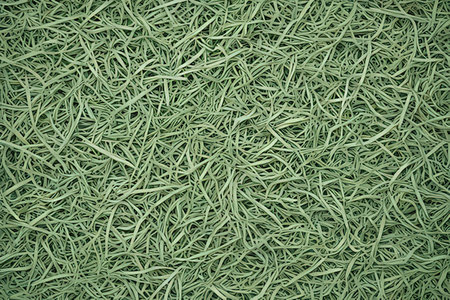 Green grass texture background. Top view of green grass texture background.の写真素材