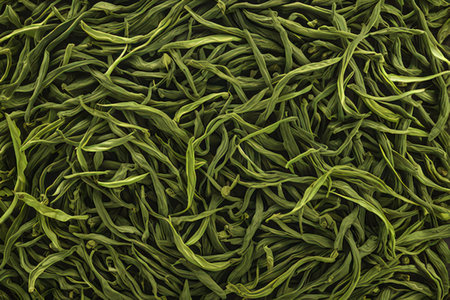 Dry green tea leaves as background, top view, flat layの写真素材