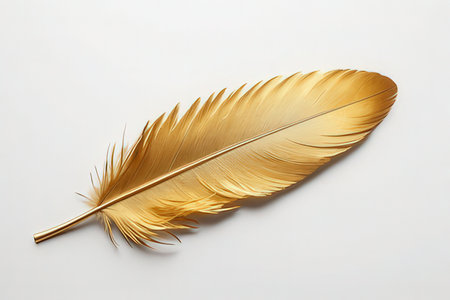 golden feather on a white background, close-up, macroの写真素材