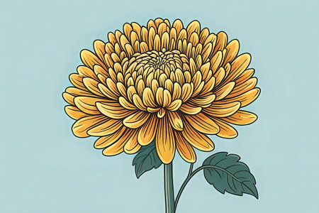 Yellow chrysanthemum on blue background. Vector illustration.の写真素材