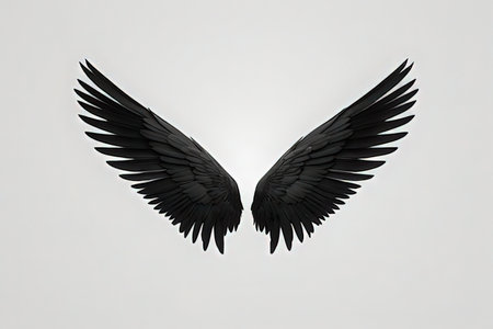 Black wings on a white background. The concept of freedom and peace.の写真素材