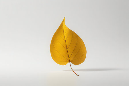 3d rendering of a yellow leaf on a white background with shadowの写真素材