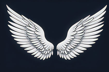 3d rendering of a white angel wings isolated on a dark backgroundの写真素材