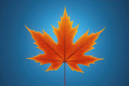 Autumn maple leaf on blue background. 3d render illustration.の写真素材