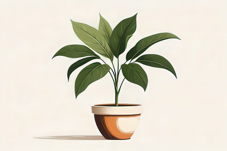 Illustration of a houseplant in a pot on a white backgroundの写真素材