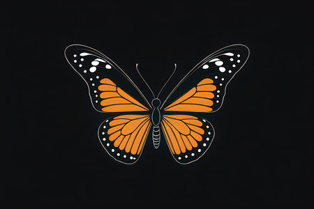 Butterfly isolated on black background. Vector illustration for your designの写真素材