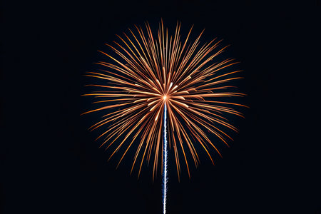 Fireworks light up the sky with dazzling display in the night.