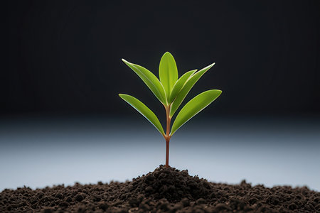 Green seedling illustrating concept of new life and growing on black background