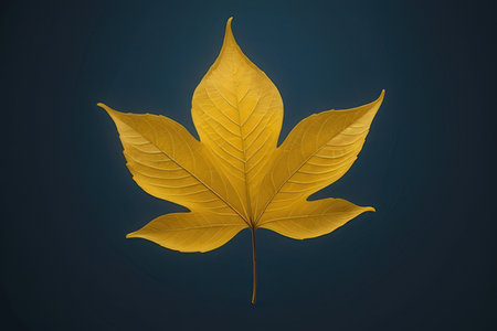 Yellow autumn leaf on dark blue background. 3d render illustration.の写真素材