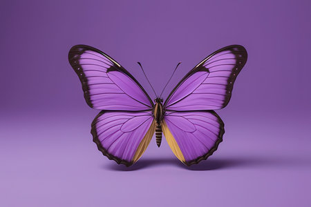 Purple butterfly isolated on purple background. 3d render illustration.の写真素材