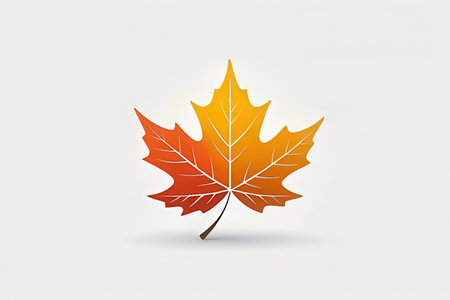 Autumn maple leaf isolated on a white background. Vector illustration.