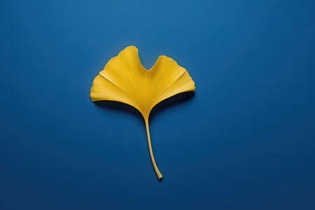 Ginkgo biloba leaf on blue background with copy space.