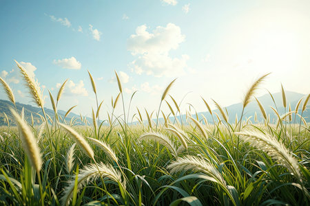 Grass flower with blue sky background, vintage filter effect and soft focus