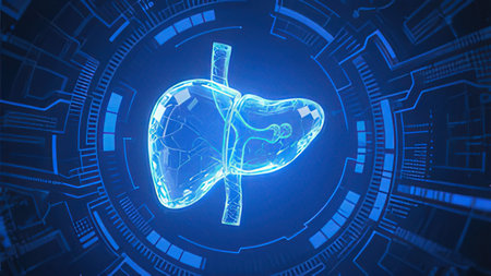 Lungs and human organs on blue background. Medicine and healthcare concept. 3D Rendering