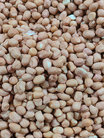 Peanut background. Close up of peanuts. Peanuts background.の写真素材