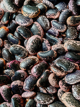 Pinto beans background, closeup of a pile of pinto beans