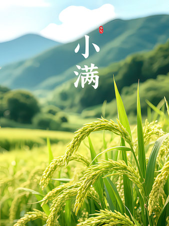Rice field and rice dumpling in chinese calligraphyの写真素材