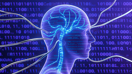 3d illustration of human head with brain and binary code on background