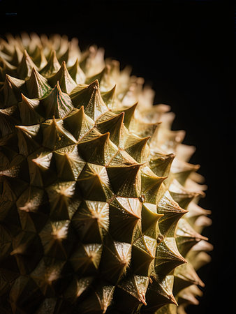 Macro shot of a golden cactus on a black background.