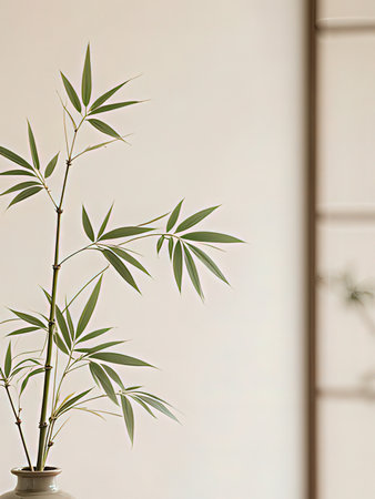 Bamboo plant in a vase on a beige wall backgroundの写真素材