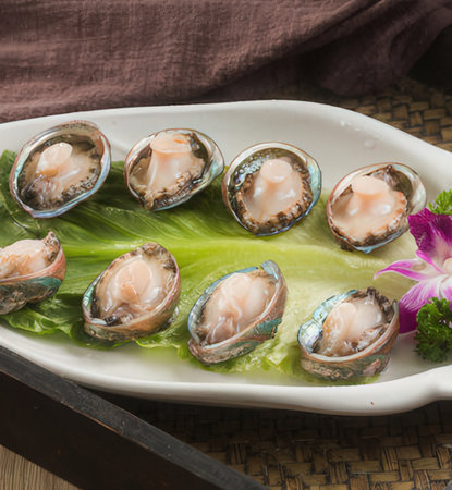 Fresh scallops in a white plate.