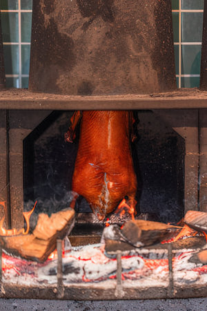 Roast duck in the fireplace. Roast duck in the fireplaceの写真素材