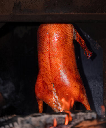 roasted duck on the fire, close-up