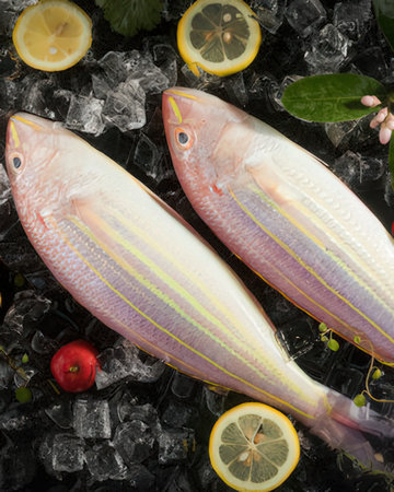 Fresh fish with ice and lemon on black background. Top view.