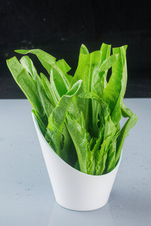 Bunch of fresh green lettuce leaves in a white vase.
