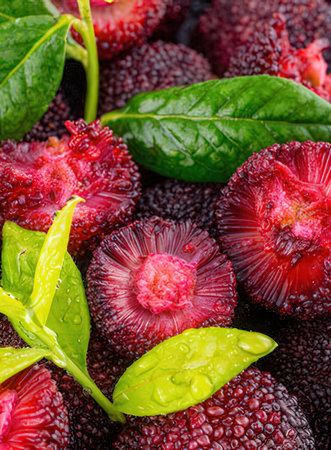 Fruits of blackberry with green leaves. Selective focus.